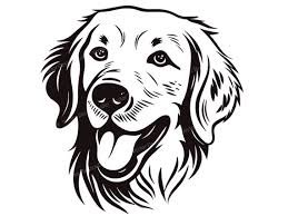 Home Of Golden Retrievers